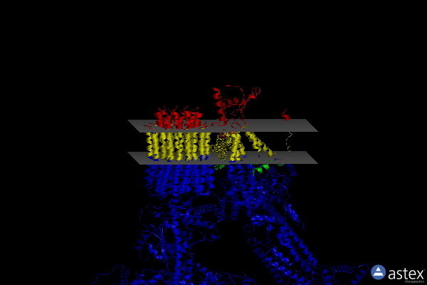 Membrane view of 6ree
