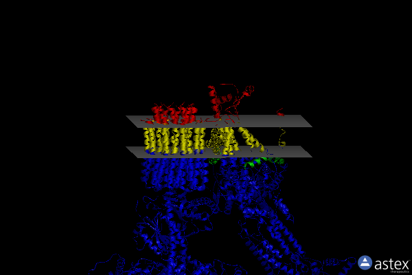 Membrane view of 6rep