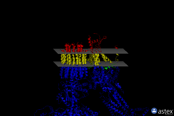 Membrane view of 6ret