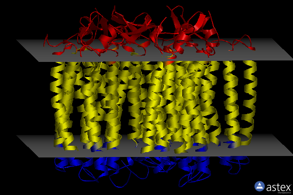 Membrane view of 6rex