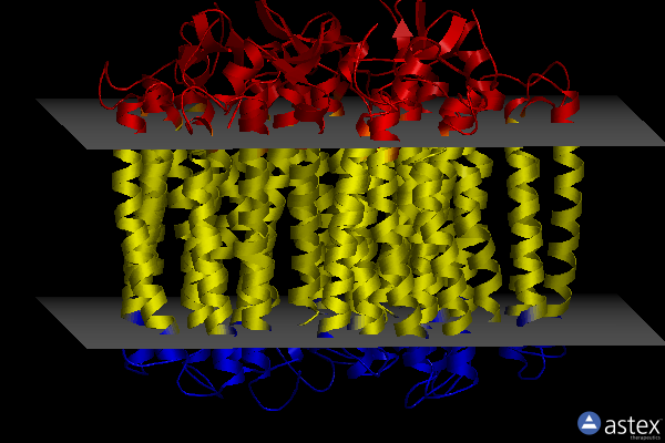 Membrane view of 6rf3