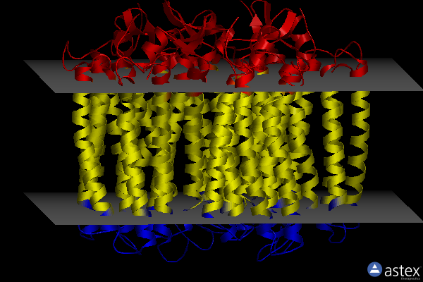 Membrane view of 6rf4