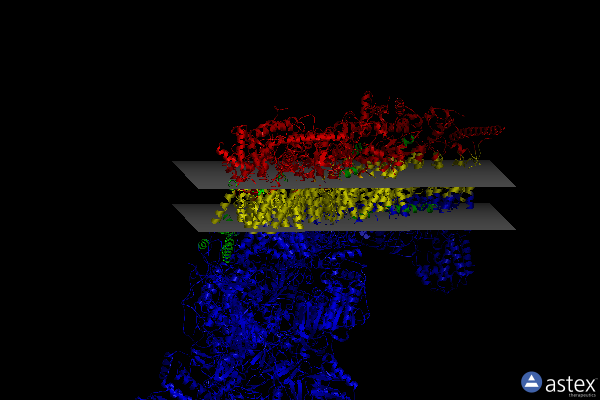Membrane view of 6rfr