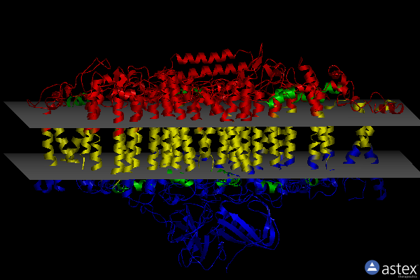 Membrane view of 6rhz