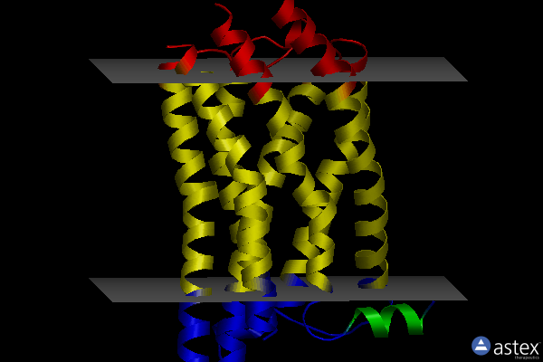 Membrane view of 6rnk