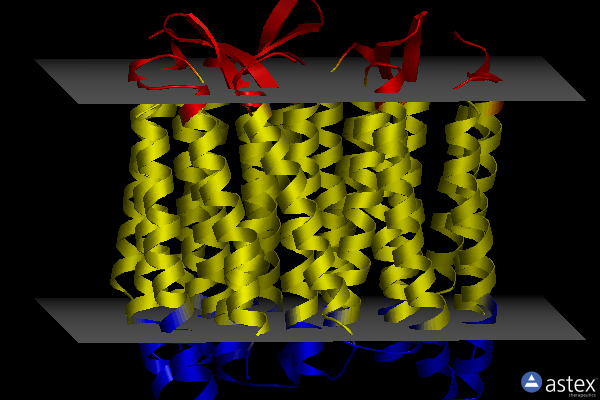Membrane view of 6rqo