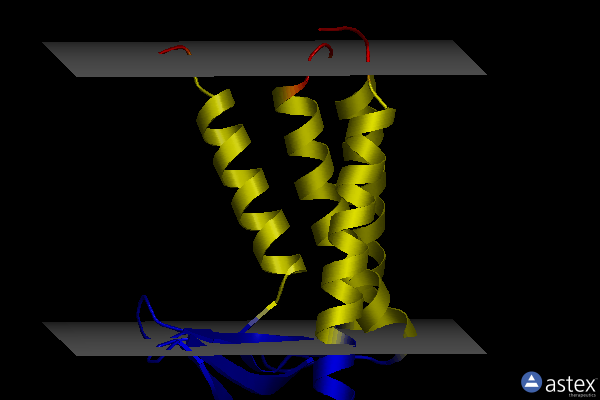 Membrane view of 6ryo