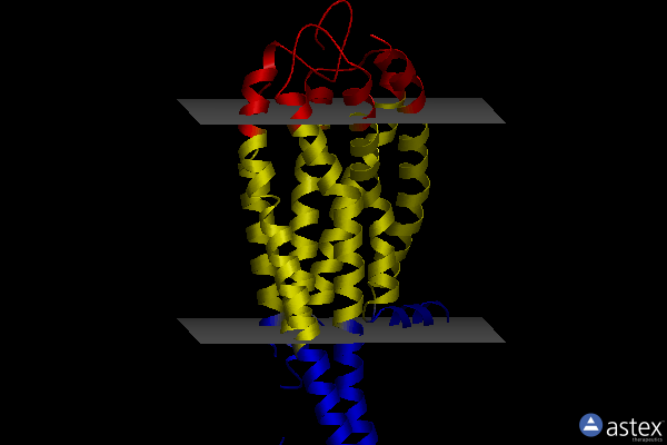 Membrane view of 6rz9