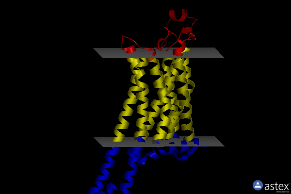 Membrane view of 6s0l