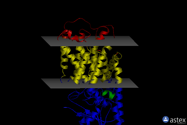 Membrane view of 6s3k