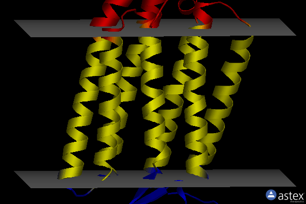 Membrane view of 6s63