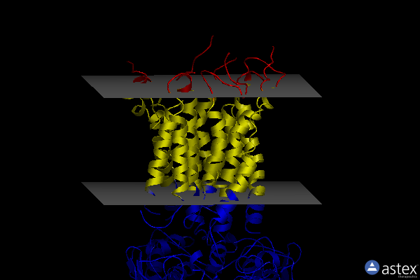 Membrane view of 6s8n
