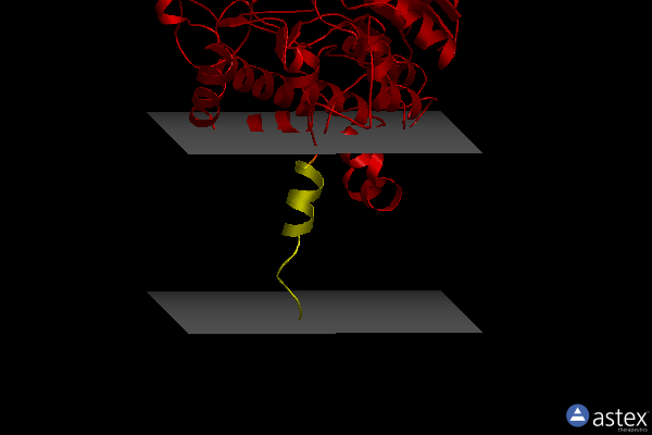 Membrane view of 6sf0