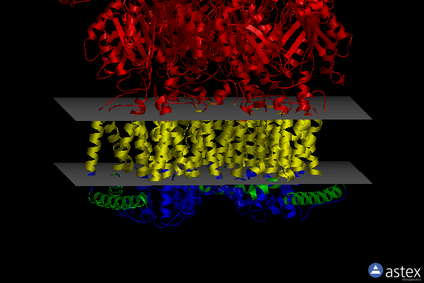 Membrane view of 6sgu