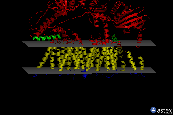 Membrane view of 6sgz