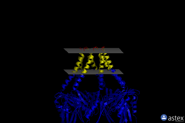 Membrane view of 6sh4