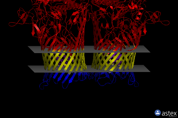 Membrane view of 6sm3
