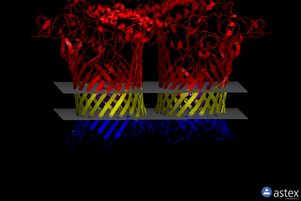 Membrane view of 6sml