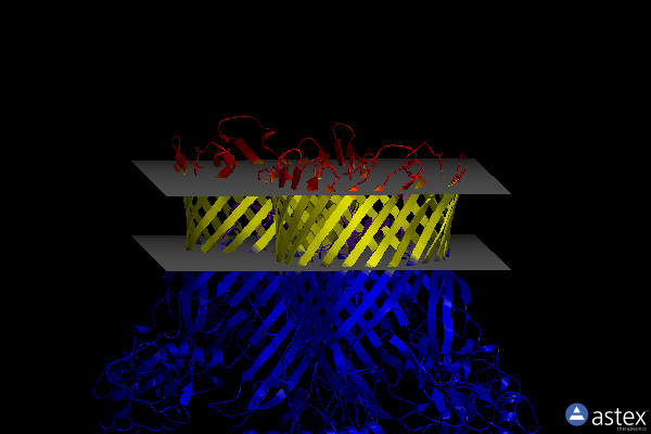 Membrane view of 6smq