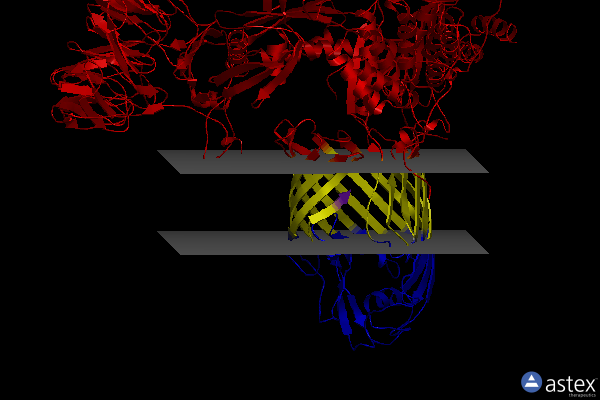 Membrane view of 6sn7