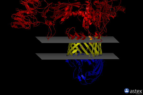 Membrane view of 6sob