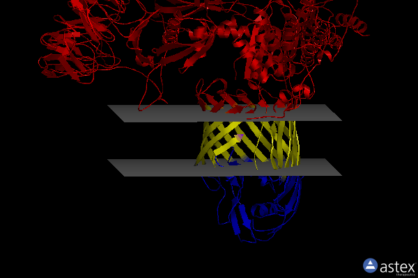 Membrane view of 6sog