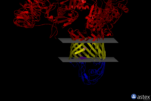 Membrane view of 6soj