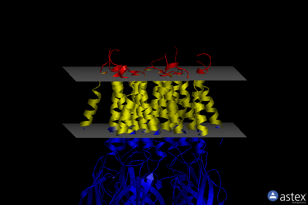 Membrane view of 6ssi