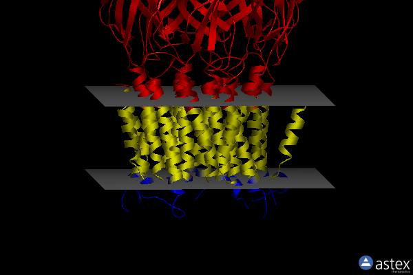 Membrane view of 6ssp