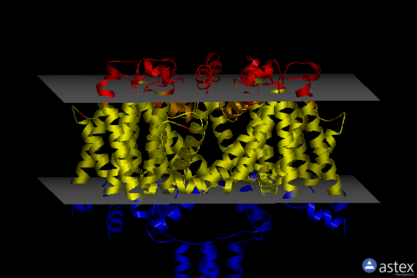 Membrane view of 6sx7