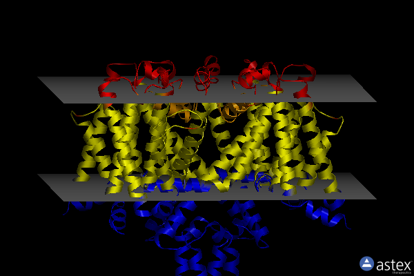 Membrane view of 6sxc
