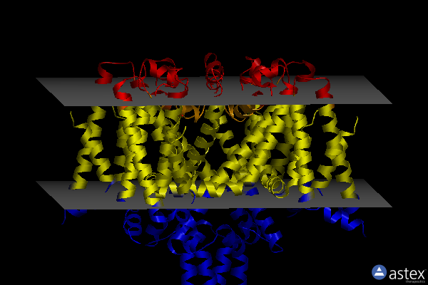 Membrane view of 6sxf