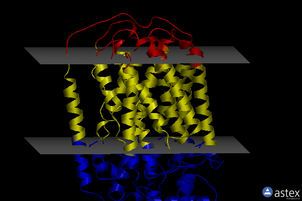Membrane view of 6t6v