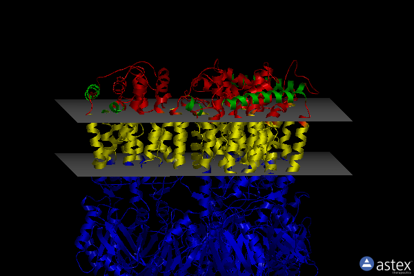 Membrane view of 6t7s