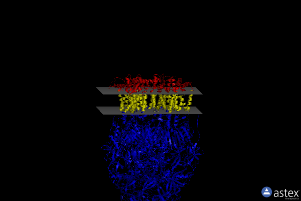 Membrane view of 6ta6