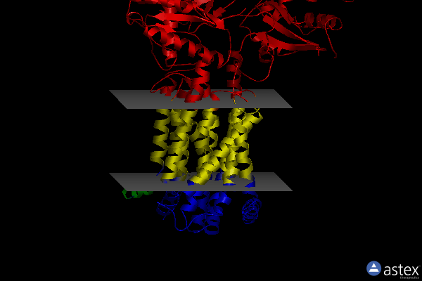Membrane view of 6td6