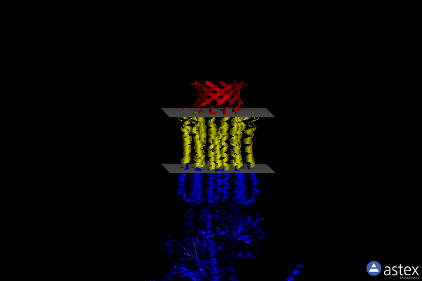 Membrane view of 6tdz