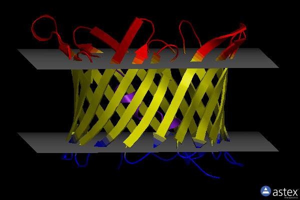 Membrane view of 6tiq