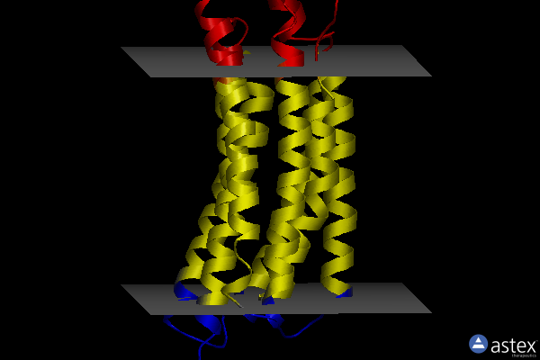 Membrane view of 6tk2
