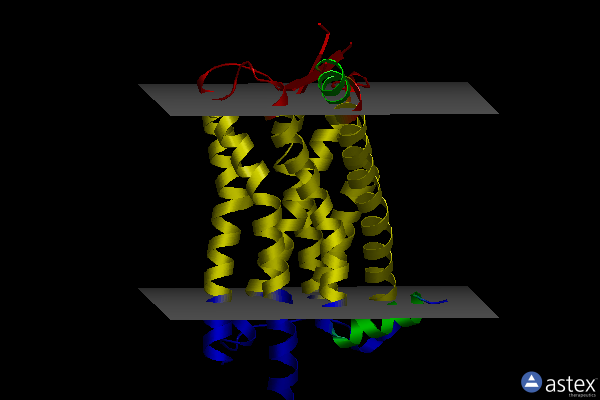 Membrane view of 6tp4