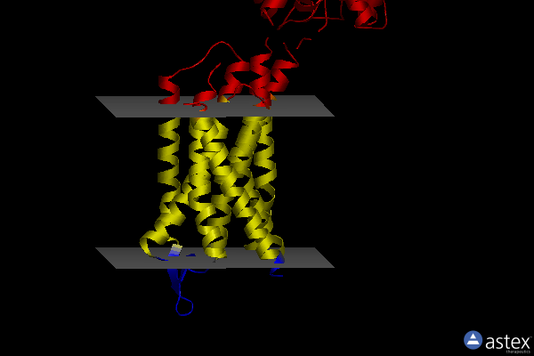 Membrane view of 6tpk