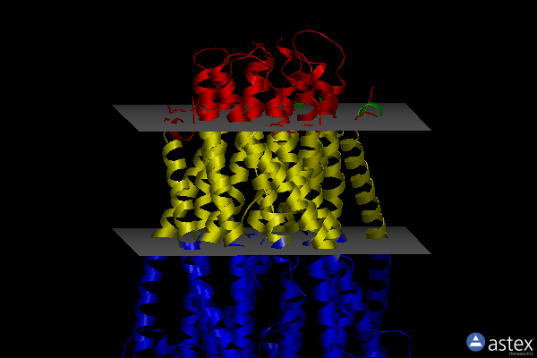 Membrane view of 6tyi