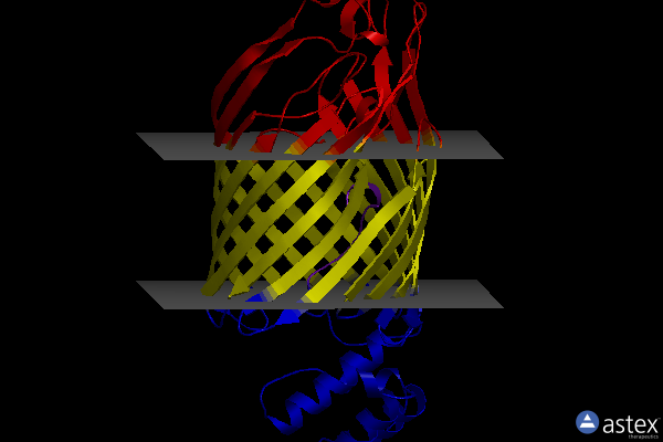 Membrane view of 6tzk