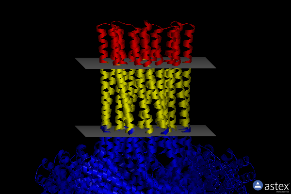 Membrane view of 6u1s