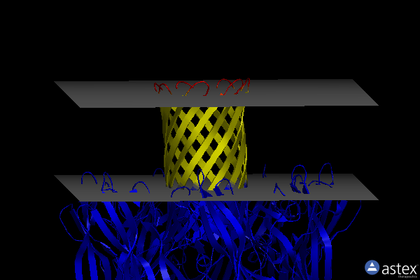 Membrane view of 6u4p