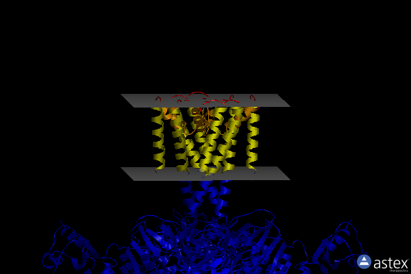 Membrane view of 6u5r