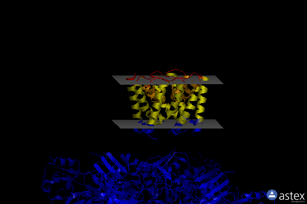Membrane view of 6u6h