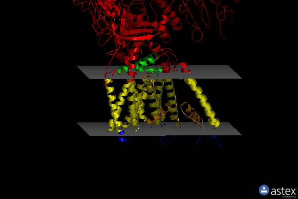Membrane view of 6u84