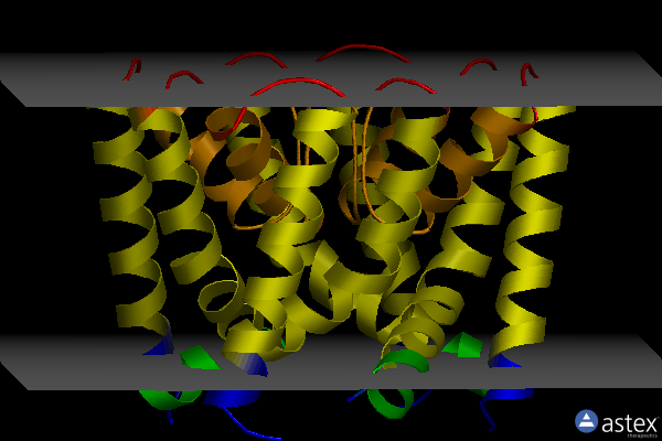 Membrane view of 6u9t