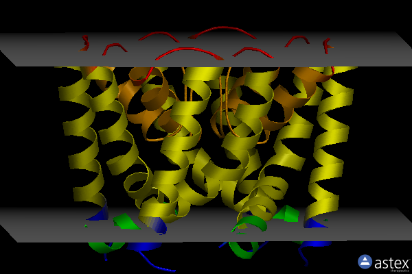 Membrane view of 6u9y